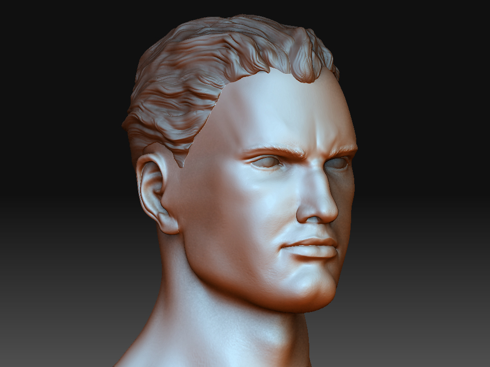face persp
